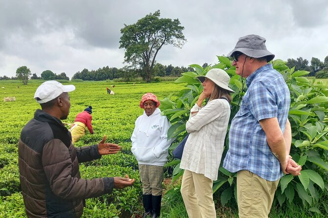 Riara tea farm tour with lunch and tea tasting from Nairobi - Nairobi Stops That Set the Scene: Museum, Art, and Shopping Landmarks