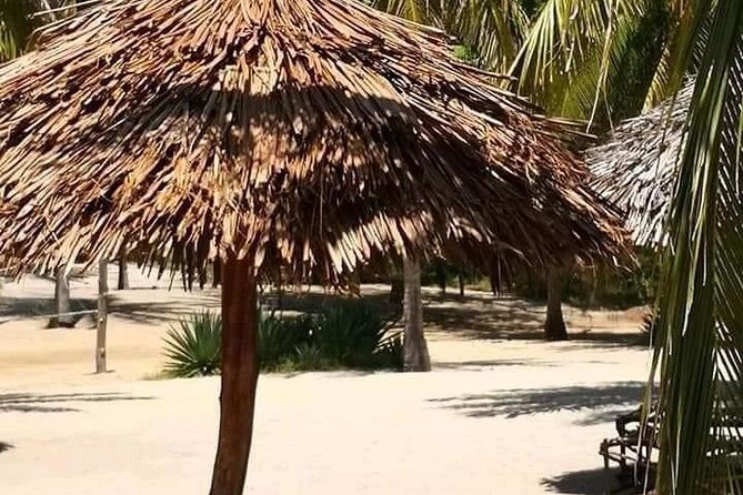 ROBINSON ISLAND/MARAFA HELL's KITCHEN - Best for who: the kind of traveler who will love this day