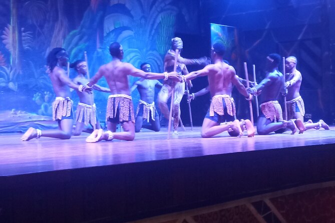 Safari Cat Dancers Show And Dinner - Is this for you? The best-fit traveler