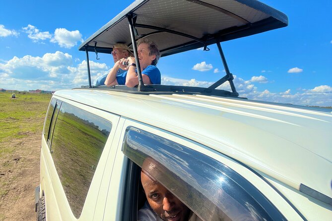 Safari In Nairobi Kenya National Park Half day Tour - Nairobi National Park safari: what you’re aiming to see