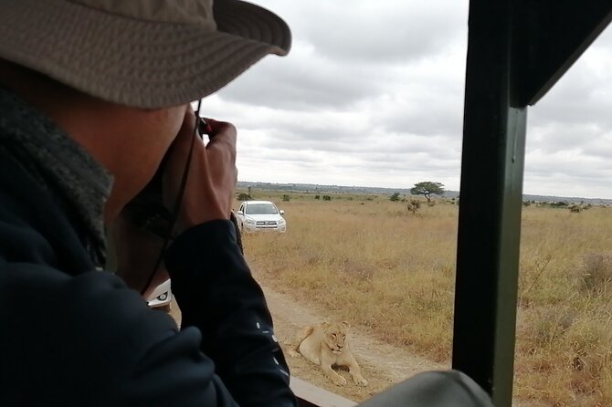 Safari In Nairobi Kenya National Park Half day Tour - Price and value: $85 is mainly for transport, guide time, and search
