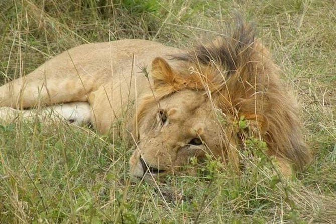 Safari Kenya with Patrick - Patrick and the guiding style: punctual, friendly, and practical