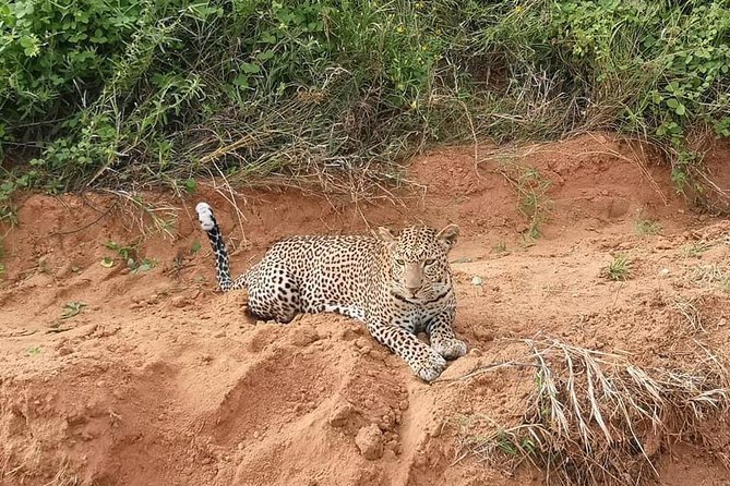 Safari Kenya with Patrick - What to pack for a 2-day Tsavo safari without suffering