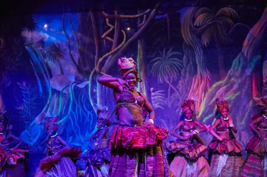 Safari Park Hotel Show & Dinner Experience In Nairobi Tour - Key things to know before you head out