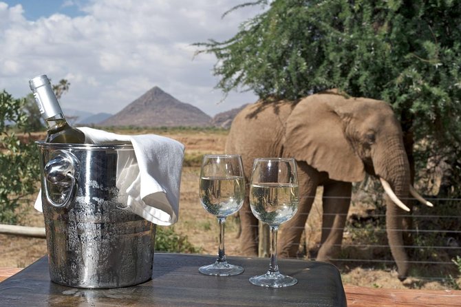 Samburu/ Aberdare/ Lake Nakuru/ Masai Mara 7 Days Safari - Maasai Mara, Two Full Days for Big Five Odds