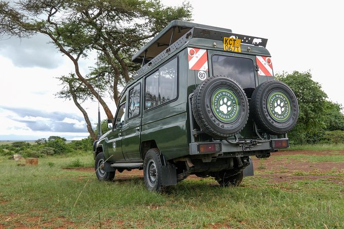 Samburu, Lake Nakuru & Masai Mara 6 Days Private 4x4 Jeep Safari - Final morning and the drive back to Nairobi by late afternoon