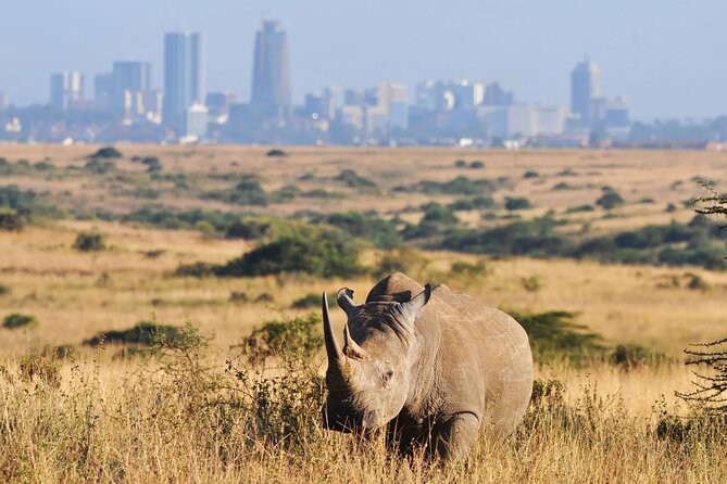 Shared Nairobi National Park Safari Tour - Key Things to Know Before You Go