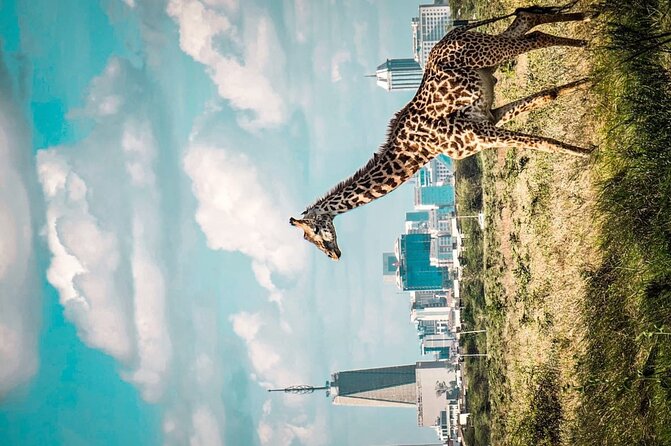 Shared Nairobi National Park Safari Tour - Open-Roof Landcruiser Comfort: Great for Photos, Not for Luggage