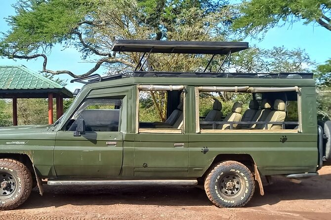 Shared Nairobi National Park Safari Tour - Tips That Make the Most of This Shared Safari