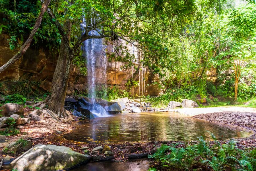 Shimba Hills Day Safari & Sheldrick Falls Hike Private Tour - Hike to Sheldrick Falls, from forest walk to cool pool time