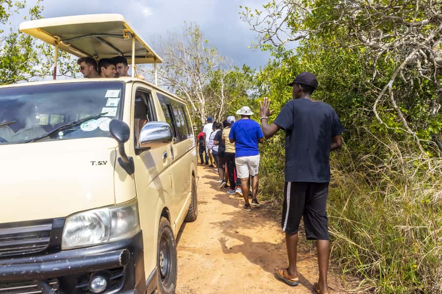 Shimba Hills Day Safari & Sheldrick Falls Hike Private Tour - Shimba Green Lodge lunch and the pool stop you will appreciate