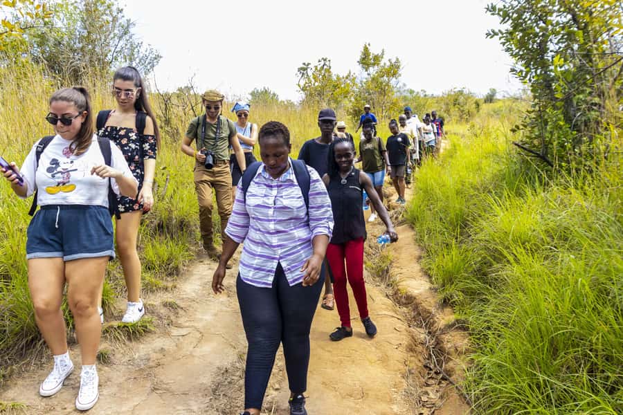 Shimba Hills Day Safari & Sheldrick Falls Hike Private Tour - The game drive segments, and why timing can affect results