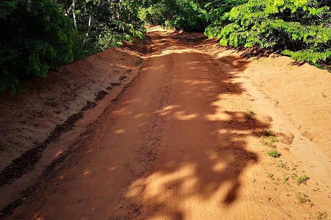 Shimba Hills Excursion - Key things to know before you go