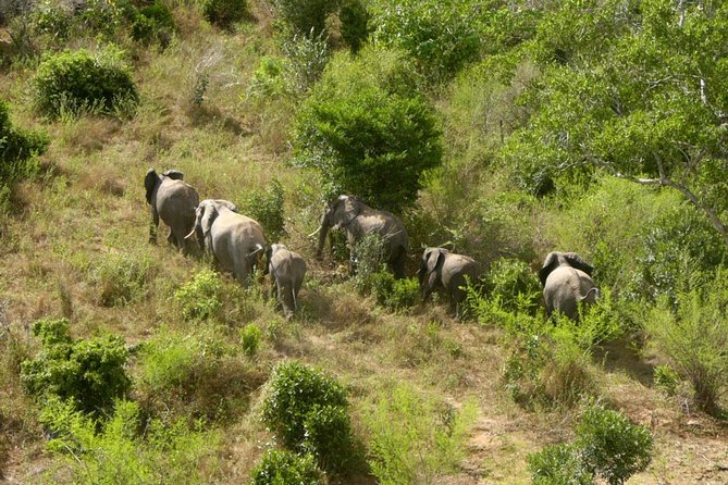 Shimba Hills Excursion - The guides and the “it’s handled” feeling