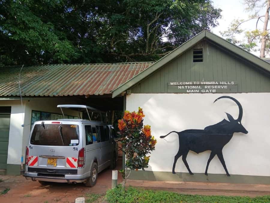 Shimba Hills: Game Drive, Waterfall Hike, and Lunch - Key things I’d bank on in Shimba Hills