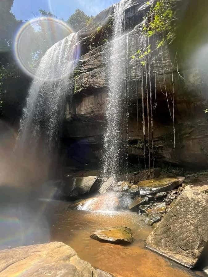 Shimba Hills: Game Drive, Waterfall Hike, and Lunch - Shimba Hills National Reserve in One Day, Safari First