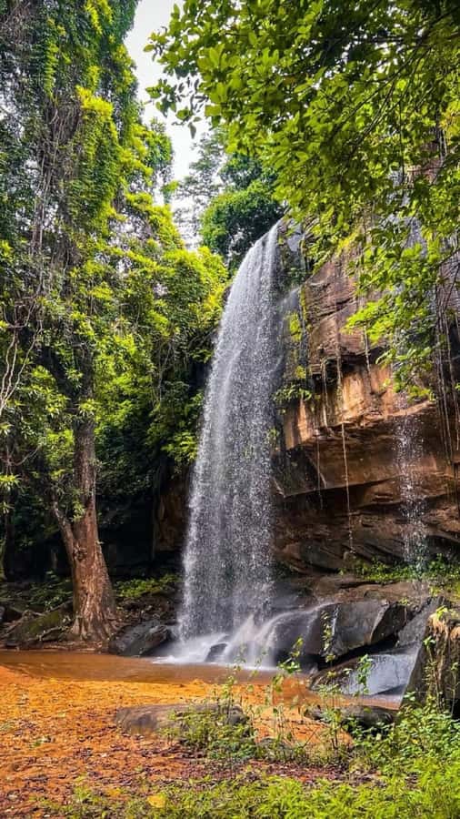 Shimba Hills: Game Drive, Waterfall Hike, and Lunch - Pickup and the van ride, what to do before you reach the reserve