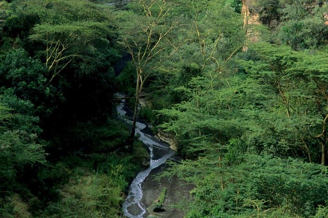 Small Group Budget Tour to Hells Gate National Park and Lake Naivasha Boat Ride - The ride back and that 1 pm reset before Naivasha