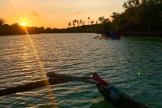 Sunset Canoe Tour on a River within the Mangroves - Human-Powered Canoeing: What It Changes For Your Body And The Water