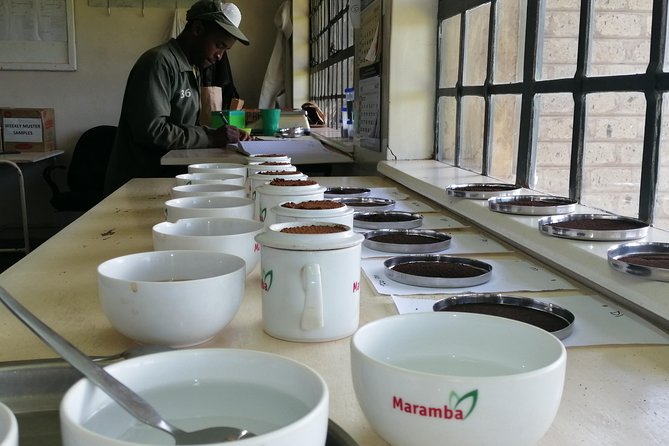 Tea Farm Experience at Riara Tea Farm And Factory Tour - The views you get, and how to enjoy them without wasting time