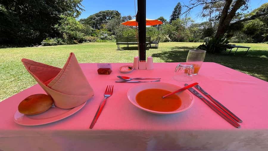 Tea Farm Tour From Nairobi (Kiambethu). - Getting out of Nairobi: timing, transport, and real-world traffic