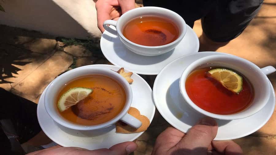 Tea Farm Tour From Nairobi (Kiambethu). - Field views and the tea-bush walk: what you will actually see