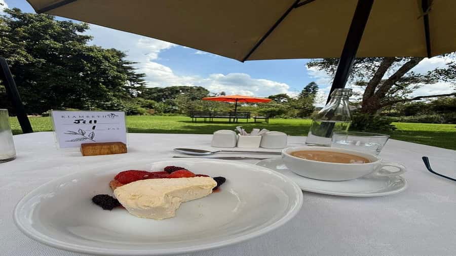 Tea Farm Tour From Nairobi (Kiambethu). - The indigenous forest walk: medicinal plants, birds, and colobus monkeys