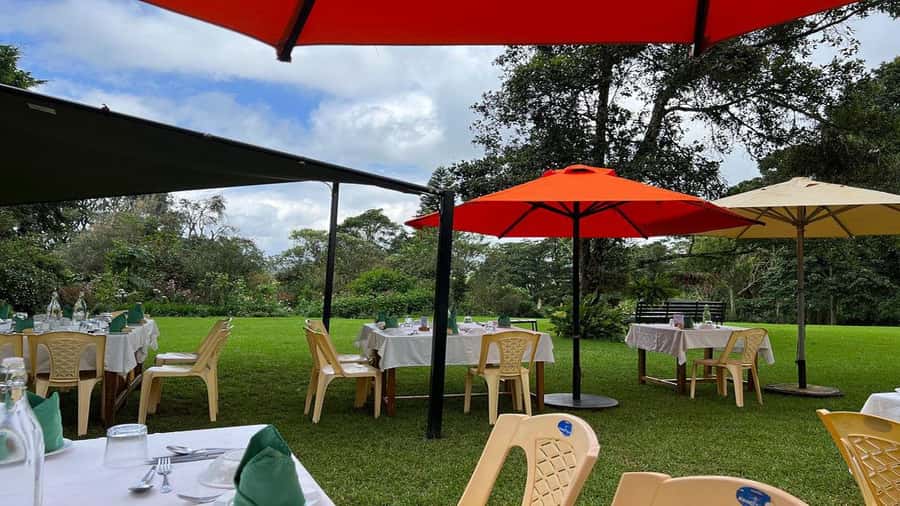 Tea Farm Tour From Nairobi (Kiambethu). - Verandah views and the pre-lunch calm