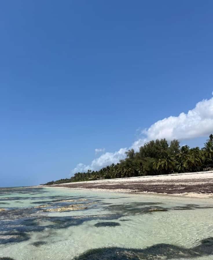 Tiwi Beach: Guided Tour to the African Pool - What makes this tour special