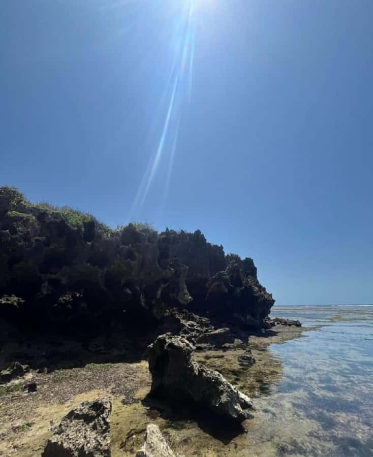 Tiwi Beach: Guided Tour to the African Pool - Who this tour suits best, and who should rethink it