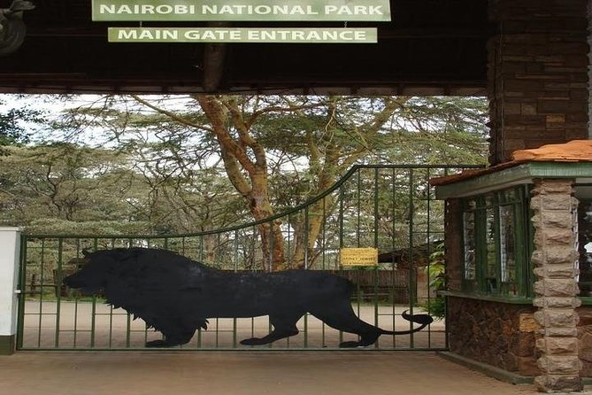 Tour: Giraffe Center and Nairobi National Park - Practical tips before you go