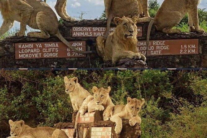Tour Safari; Nairobi National Park - Stop 2: Kobe/Kazuri Beads factory, what you’ll learn, and what it supports