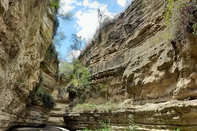 Tour to Hells Gate National park & L Naivasha boat ride - Key highlights worth knowing before you go