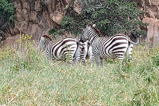 Tour to Hells Gate National park & L Naivasha boat ride - Guides and drivers that make the day feel easy