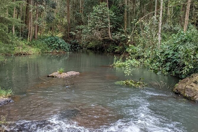Trip from Nairobi to Muranga with Waterfall Hike and Picnic - Getting there in a comfortable 4x4 with Mash