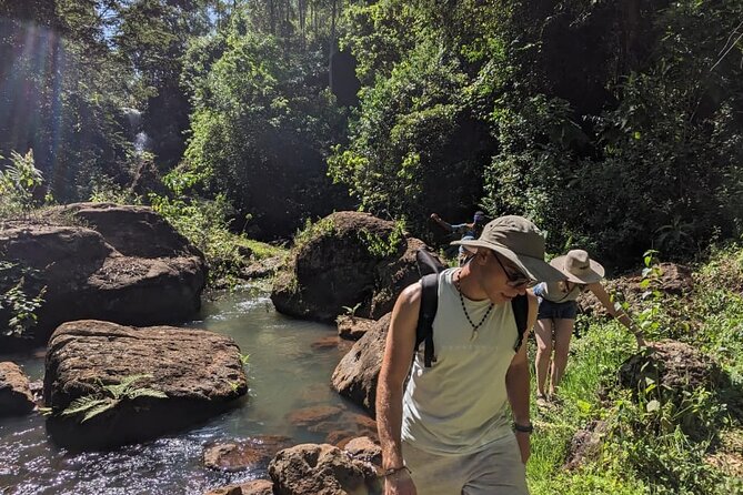 Trip from Nairobi to Muranga with Waterfall Hike and Picnic - Leaving Nairobi: what that first hour is really for