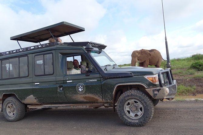 Tsavo East 1 Day Safari, Beach To Beach In 4wd Jeep - The Midnight Start and How You’ll Actually Spend Your Time