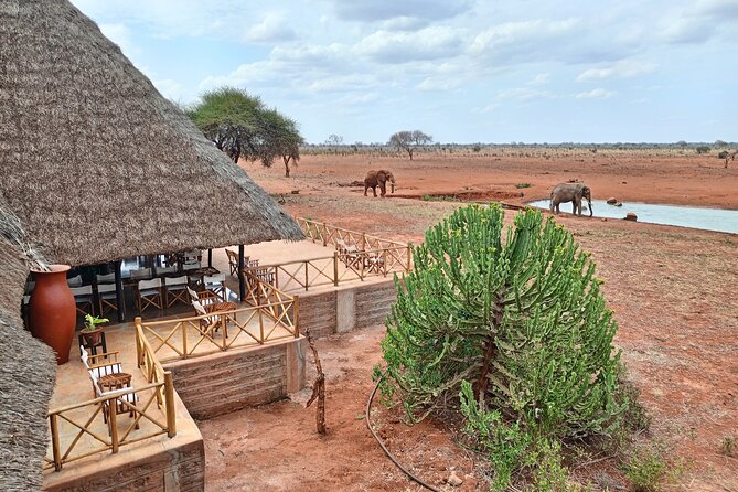 Tsavo East and Ngutuni Sanctuary Safari 3 days from Mombasa - Day 3 in Ngutuni: the early drive and the last chances