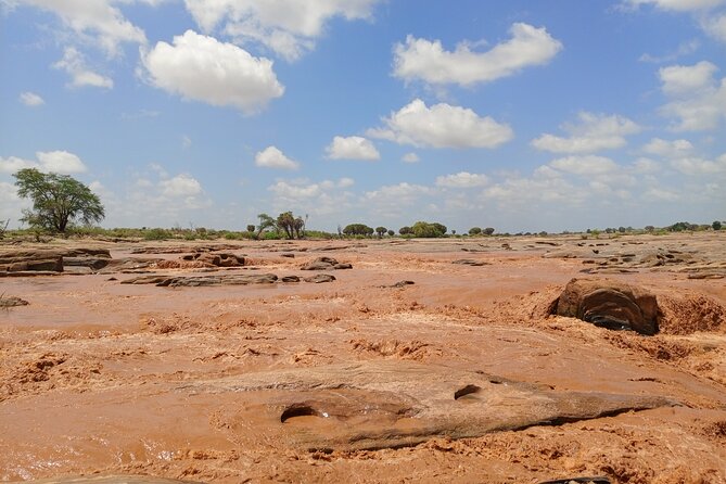 Tsavo East and Ngutuni Sanctuary Safari 3 days from Mombasa - How the guide and timing affect your actual experience