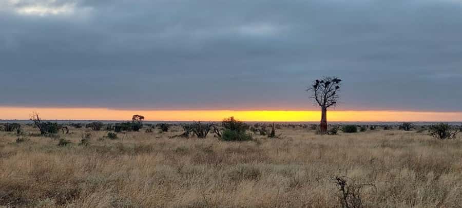 Tsavo East and Tsavo West Sanctuary Safari - Price and value: what $857 buys you in real safari terms