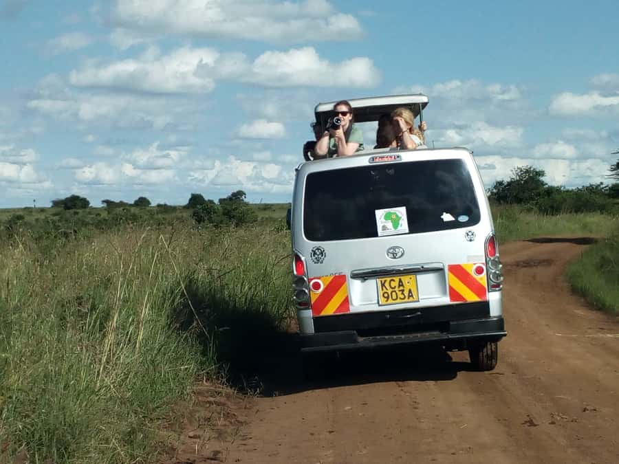 Tsavo East National Park: 2-Day Tour from Mombasa - Afternoon Game Drive: How Lions and Elephants Show Up