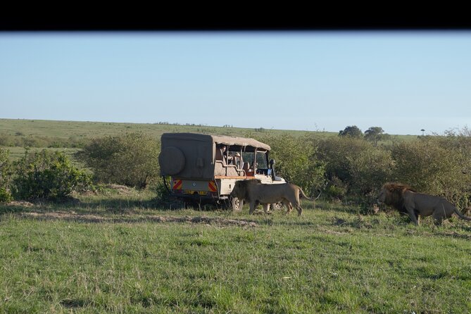 Ultimate 12 Days Private Safari Tour in Kenya and Tanzania - Day 1 to 2 at Ol Pejeta Conservancy, Big Cats and Black Rhinos First