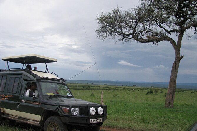 Ultimate 12 Days Private Safari Tour in Kenya and Tanzania - Serengeti Days 6 and 7, Radio-Collared Lions and Built-In Options
