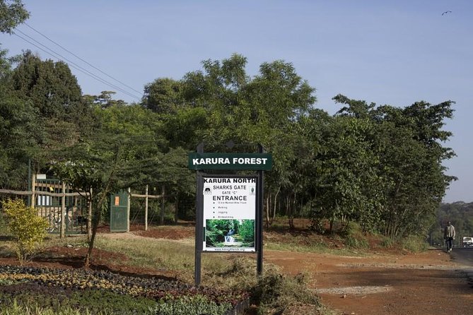 Urban Forest Tour in Nairobi - Key highlights you should know first