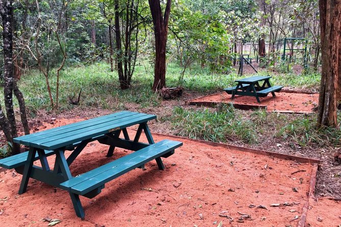 Urban Forest Tour in Nairobi - Wildlife and birding: what you’re likely to see, and what to accept