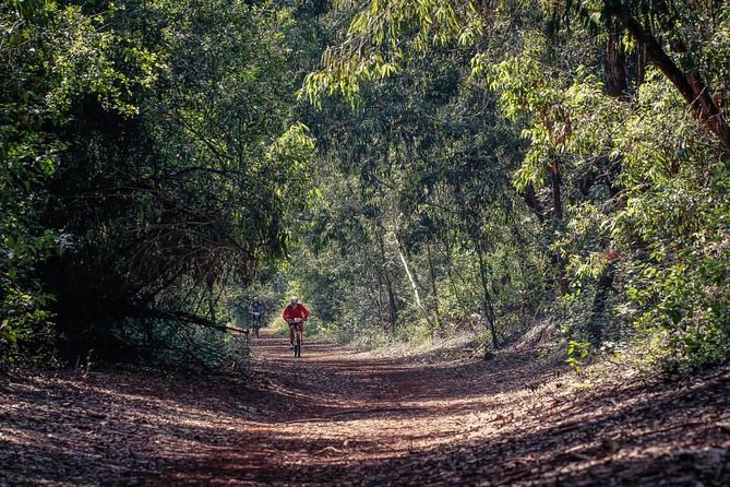 Urban Forest Tour in Nairobi - How the 3-hour experience actually feels, from Gate to trails