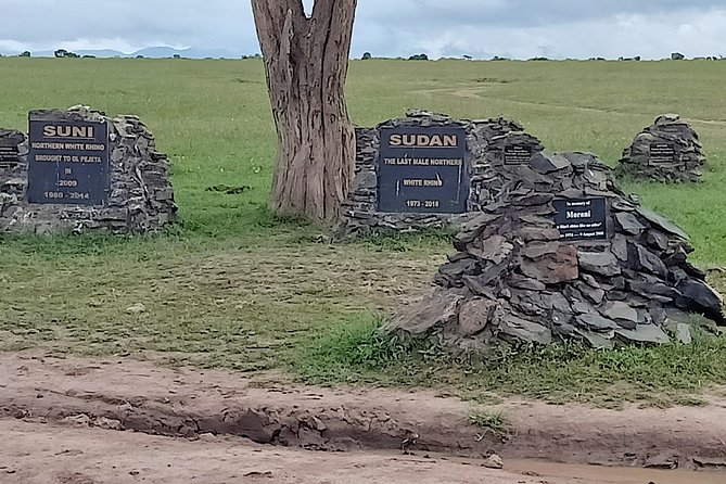 Vegans special safari - Vegan safari in Kenya, what makes this one different