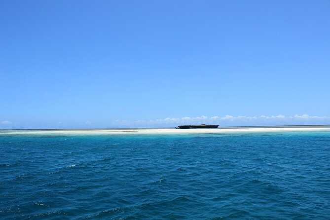Wasini Day Tour - Diani Morning: Pickup, the Drive to Shimoni, and Why 7:30am Works