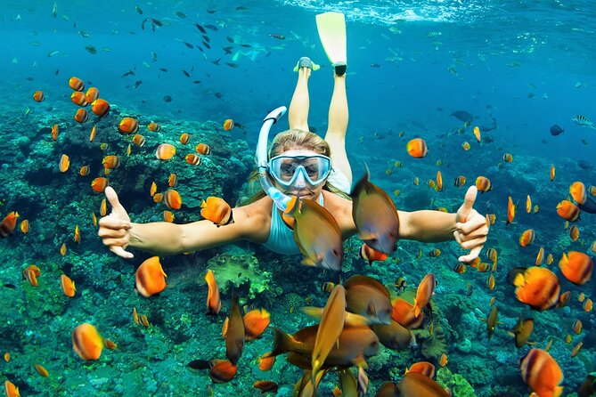 Wasini Dolphin Snorkeling - Kenya Wildlife Service check-in at the start
