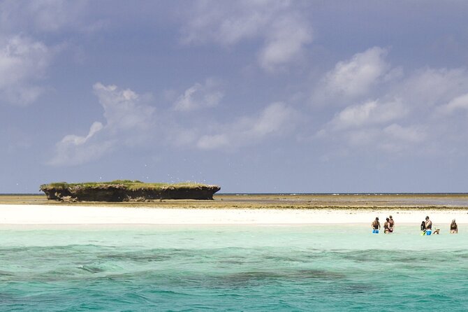 Wasini Dolphin Snorkeling - Wasini Island: lunch plus a village tour you can actually enjoy